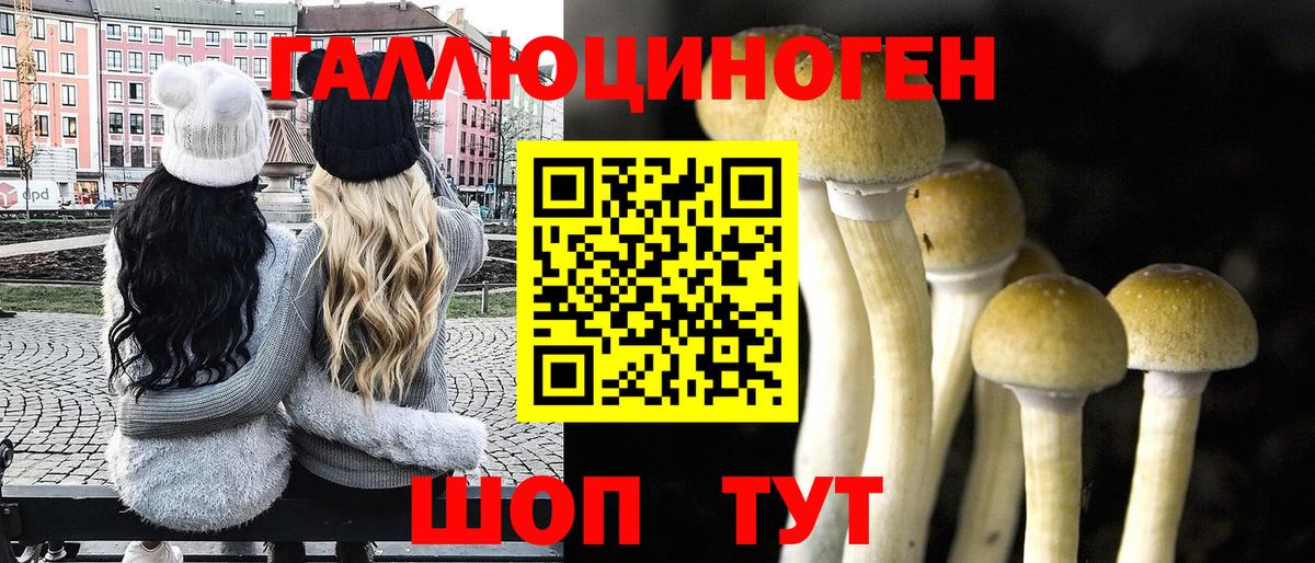 цена   Вход с VPN  Оренбург  Галлюциногенные грибы прущие грибы  Псилоцибиновые грибы прущие грибы 