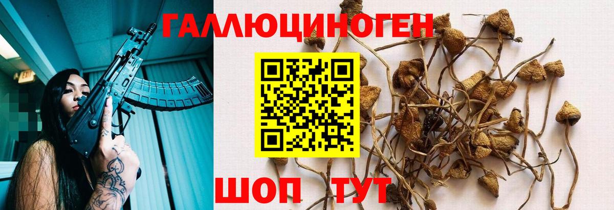 Галлюциногенные грибы ЛСД Оренбург